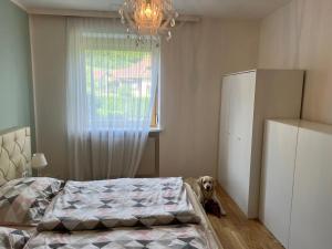 Postel nebo postele na pokoji v ubytování MILLIEs hosting - Familienurlaub mit Hund in Kärnten
