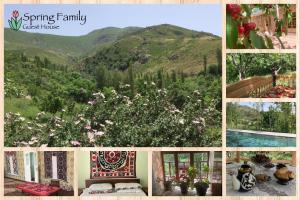 een collage van foto's van bloemen en een berg bij Spring Family Guest House in Tersak
