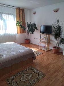 Schlafzimmer mit einem Bett und einem Flachbild-TV in der Unterkunft Vila Bogdan in Buşteni