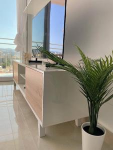 ein Badezimmer mit einem Spiegel und einer Topfpflanze in der Unterkunft Holidays2Malaga Princesa 3 dormitorios, vistas al mar y montaña, terraza y a 200m a la playa in Málaga