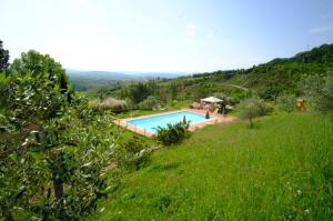 Bazén v ubytování Agriturismo LUCERTOLA nebo v jeho okolí