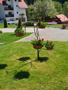 two flower pots on a stand in the grass at Pensiunea Andias in Suceviţa