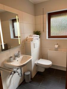 ein Badezimmer mit einem Waschbecken, einem WC und einem Spiegel in der Unterkunft Ferienwohnung Fröschenpuhl NEU in Traben-Trarbach