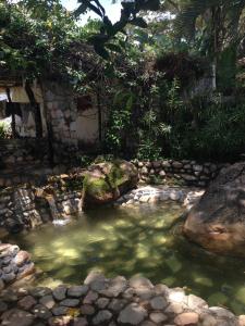 Φυσικό τοπίο κοντά σε αυτό το ξενοδοχείο