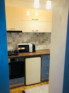 a kitchen with a stove and a toaster oven at Laguna Apartament in Brăila