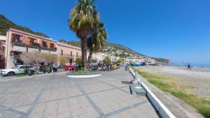 a palm tree on a sidewalk next to the beach at Casa MiLù in Canneto