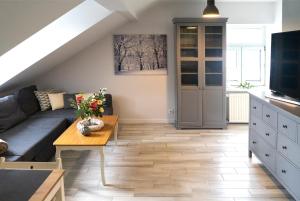 a living room with a couch and a table at Apartament Przy Podziemiach in Chełm