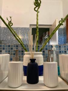a kitchen counter with three vases with plants in them at Mirtia Hotel in Pefki