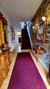 a hallway with a purple carpet and a stone staircase at Penzion Valkoun-Lilienfeld in Karlovy Vary