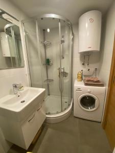 a bathroom with a shower and a sink and a washing machine at Apartman Milenium & SPA in Zlatibor +14 photos