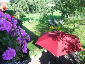 Ein Garten an der Unterkunft Ferienhaus am Waginger See