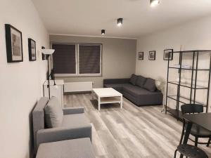 a living room with a couch and a table at Uroczy apartament w ścisłym centrum Giżycka in Giżycko