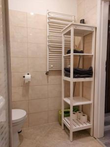 Kúpeľňa v ubytovaní Uroczy apartament w ścisłym centrum Giżycka