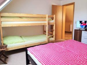 1 Schlafzimmer mit 2 Etagenbetten und 1 Bett in der Unterkunft Haus der Seeadler - Appartementhaus Haus der Seeadler - Fewo 4 in Borchtitz