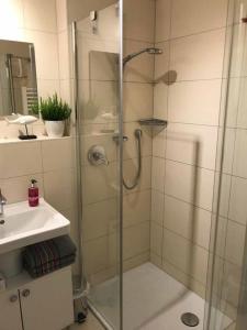 een douche met een glazen deur naast een wastafel bij Ferienwohnungen Wolke in Regensburg