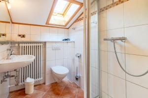 a bathroom with a toilet and a sink and a shower at Schöne Aussicht in Fischen