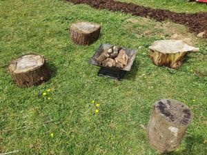 a group of logs and a fire pit in the grass at Double Decker Bus on an Alpaca farm sleeps 8 in Bovey Tracey