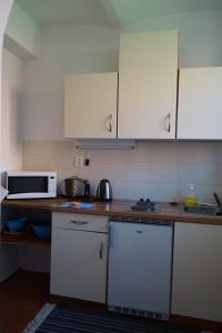 Eldhús eða eldhúskrókur á Apartmány Statek Číměř