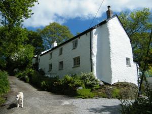 a dog standing in front of a white house at Spring Cottage B&B in Probus