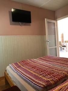 ハイドゥソボスローにあるSummer Apartmanのベッドルーム1室(ベッド1台、壁掛け式薄型テレビ付)