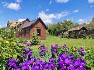 Gallery image of Organicle Lodge in Sîncrăieni