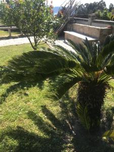 Vonkajšia záhrada v ubytovaní Loira ático con vistas al mar