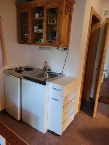 Kuchyňa alebo kuchynka v ubytovaní Gassermühle - Studio Appartments + 10 fotografií