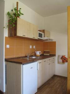 eine kleine Küche mit einer Spüle und einer Mikrowelle in der Unterkunft Berger Pec Privat in Pec pod Sněžkou