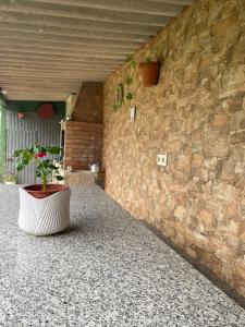 una planta en una olla junto a una pared de piedra en Pensión Residencia Casa Teresa, en Vista Alegre