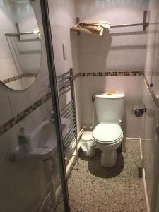 een badkamer met een toilet, een wastafel en een spiegel bij Cricketers Cottage B&B in Kent