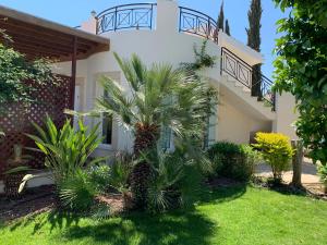 a house with a palm tree in the yard at Beach Villa Sofia in Neo Chorio