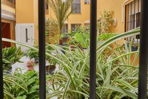 A garden outside Two Bedrooms Leonor Davalos 2