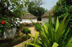a garden with a house with a bunch of flowers at Eco-Lodge Hotel Oasis Fishing in Saint-Louis
