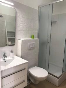 a bathroom with a toilet and a sink and a shower at Apartmani Silvano in Murter