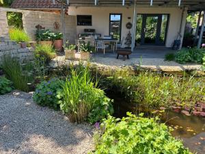 a garden with a pond and some plants at kleine Schwarzwaldlodge in Efringen-Kirchen