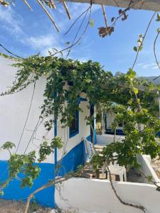 a house with blue and white walls and trees at Ferma Jebala Ecolodge in Kitane