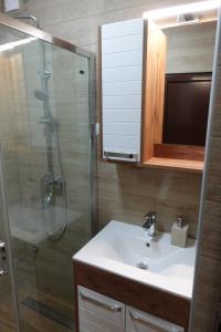 a bathroom with a sink and a shower with a mirror at STIV Apartmani in Lukovo