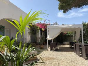 ファヴィニャーナにあるVilla Antonella Boutique Hotelの白い天蓋と椅子、植物のあるパティオ