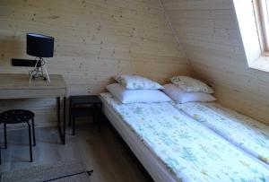 a bedroom with a bed and a desk in a room at Ptasia Zatoka in Augustów