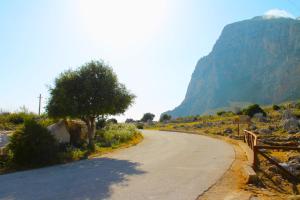 a road with a tree on the side of a mountain at Ai piedi di Cofano in Custonaci