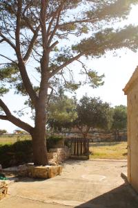 a tree sitting next to a building with a gate at Ai piedi di Cofano in Custonaci +22 photos