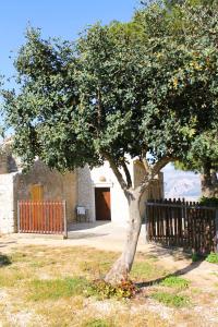 un árbol en un patio junto a una valla en Ai piedi di Cofano en Custonaci