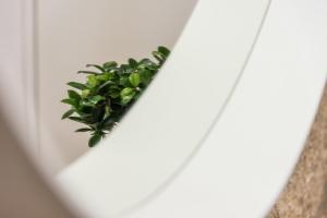 a plant sitting on top of a white wall at GuestReady - Grandeur River Terrace in Porto