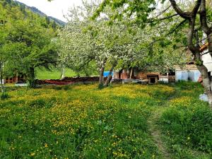 Paesaggio naturale nelle vicinanze del bed & breakfast