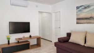 Televízia a/alebo spoločenská miestnosť v ubytovaní Apartments DaMa
