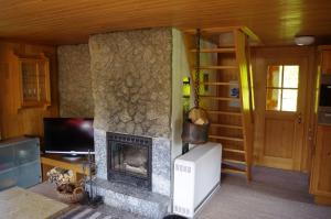 a living room with a fireplace and a television at Ferienwohnung Betula in Schwarzsee