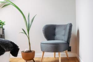 een blauwe stoel in een kamer met een plant bij Apartament BLACK OAK SurfingBird Dźwirzyno in Dźwirzyno