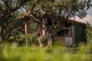 Vonkajšia záhrada v ubytovaní Villa Georgina B&B