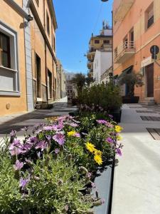 a bunch of flowers on the side of a street at Matty's in Olbia