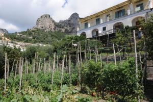 a garden in front of a building with mountains in the background at L'Uliveto in Positano